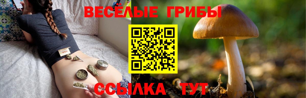 Котлас  Галлюциногенные грибы GOLDEN TEACHER  Галлюциногенные грибы Magic Shrooms  Вход с VPN 