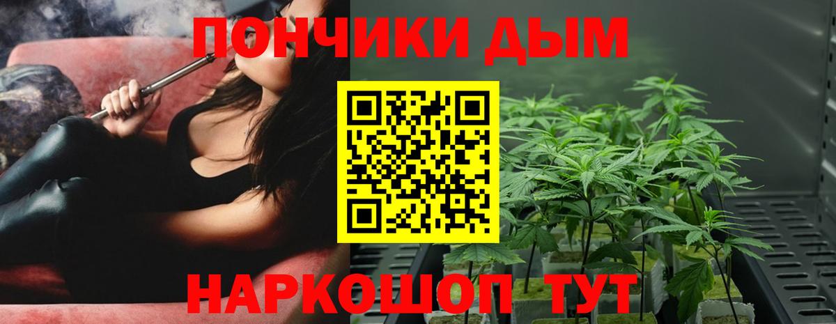 Бошки Шишки план  Канабис Ganja  Котлас  Марихуана THC 21%  Конопля THC 21%  Вход с VPN 